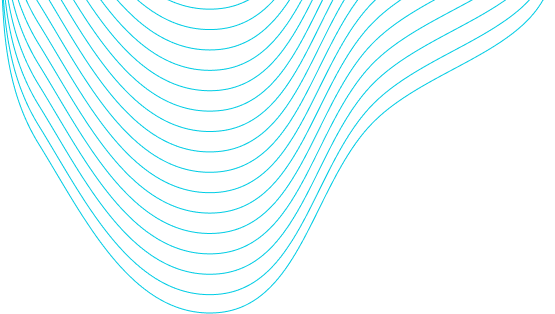 company-transparency-shape-1-1-rtl